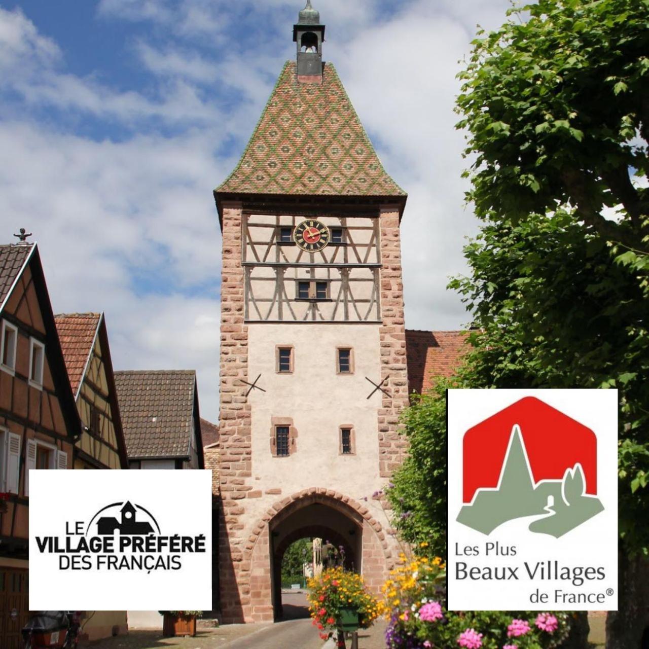 Appartements Duplex 3 Et 4 Personnes - Climatisation - Village Elu Parmi Les "Plus Beaux Villages De France" - Route Des Vins - Centre Alsace 贝尔盖姆 外观 照片