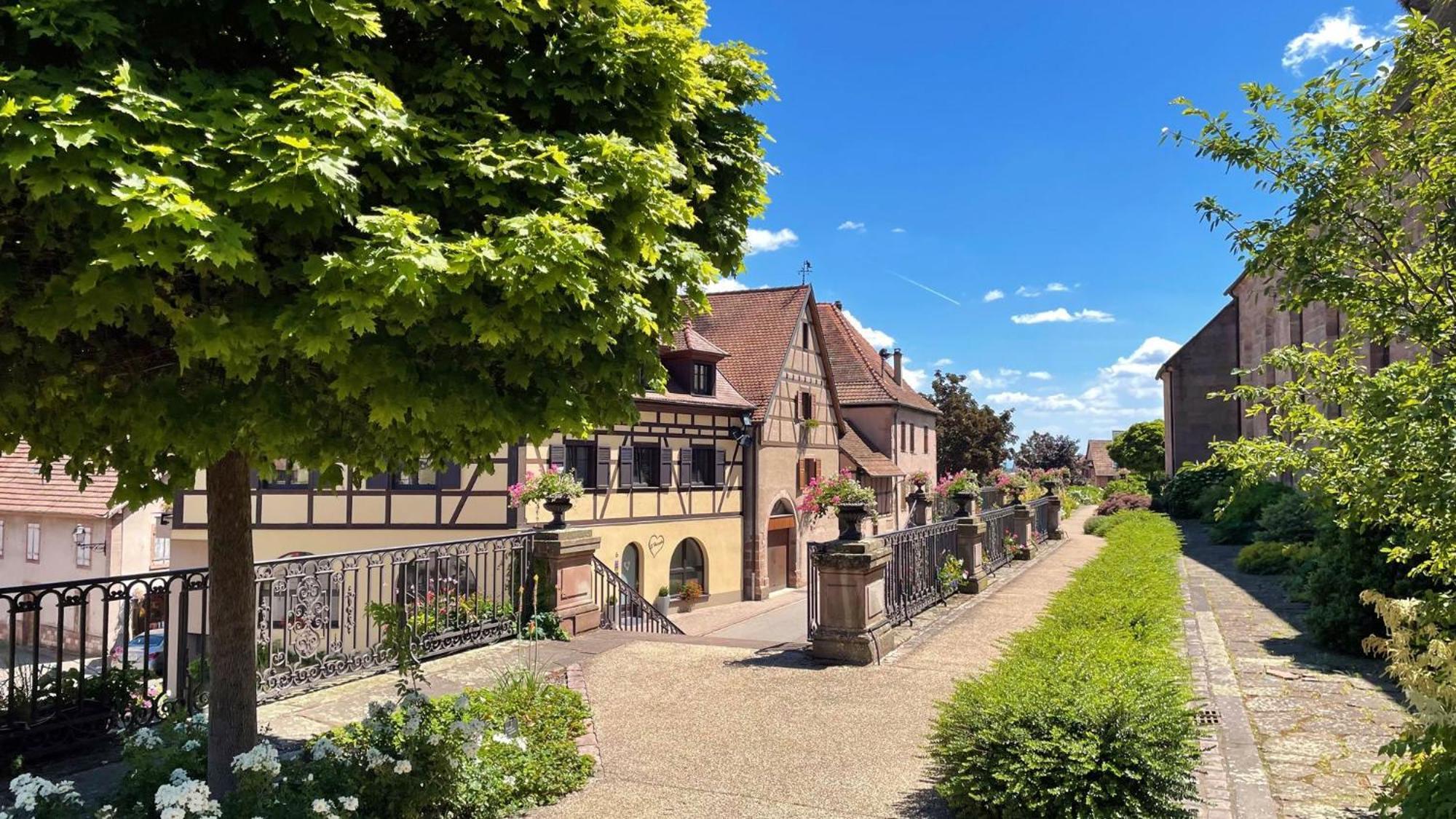 Appartements Duplex 3 Et 4 Personnes - Climatisation - Village Elu Parmi Les "Plus Beaux Villages De France" - Route Des Vins - Centre Alsace 贝尔盖姆 外观 照片