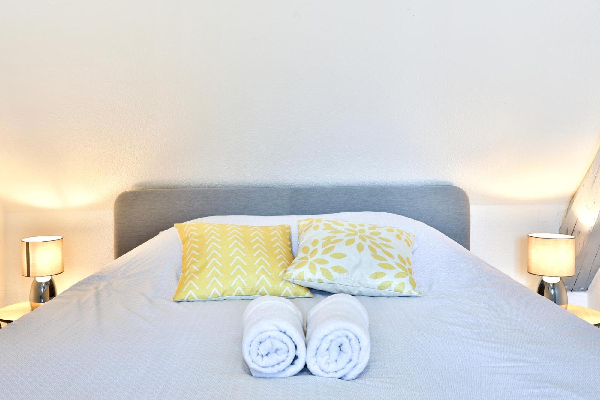 Appartements Duplex 3 Et 4 Personnes - Climatisation - Village Elu Parmi Les "Plus Beaux Villages De France" - Route Des Vins - Centre Alsace 贝尔盖姆 外观 照片