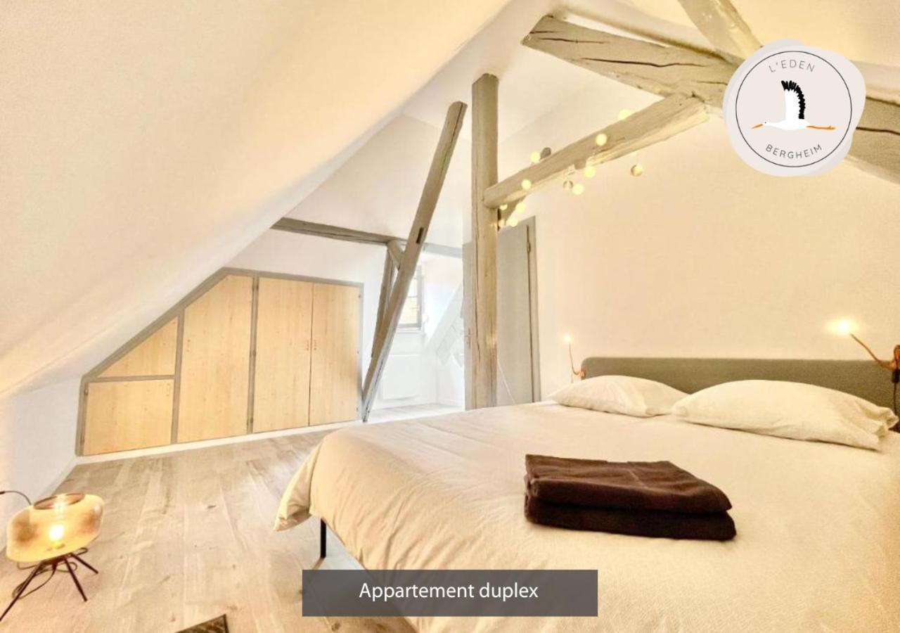 Appartements Duplex 3 Et 4 Personnes - Climatisation - Village Elu Parmi Les "Plus Beaux Villages De France" - Route Des Vins - Centre Alsace 贝尔盖姆 外观 照片