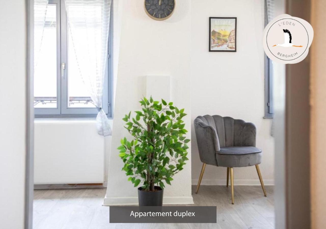 Appartements Duplex 3 Et 4 Personnes - Climatisation - Village Elu Parmi Les "Plus Beaux Villages De France" - Route Des Vins - Centre Alsace 贝尔盖姆 外观 照片