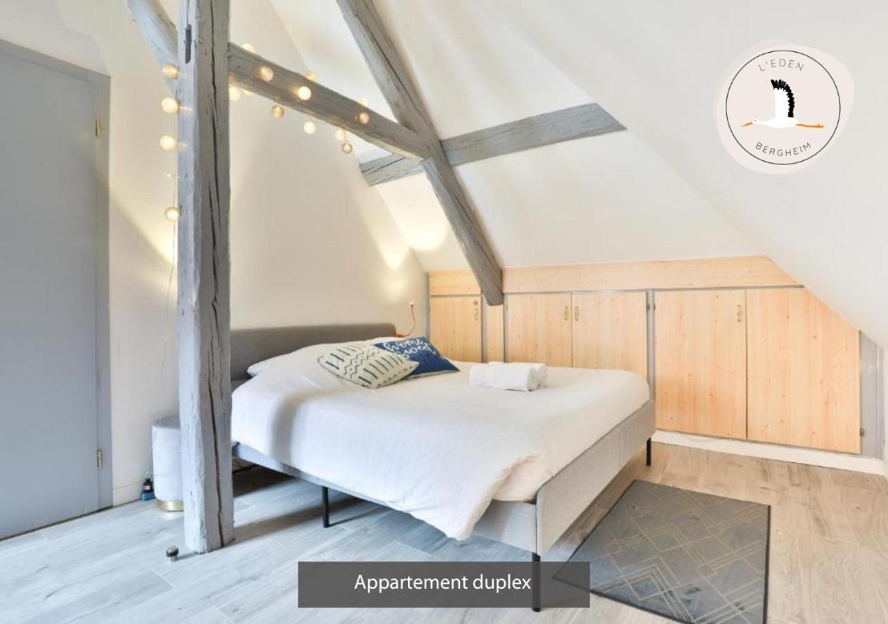 Appartements Duplex 3 Et 4 Personnes - Climatisation - Village Elu Parmi Les "Plus Beaux Villages De France" - Route Des Vins - Centre Alsace 贝尔盖姆 外观 照片