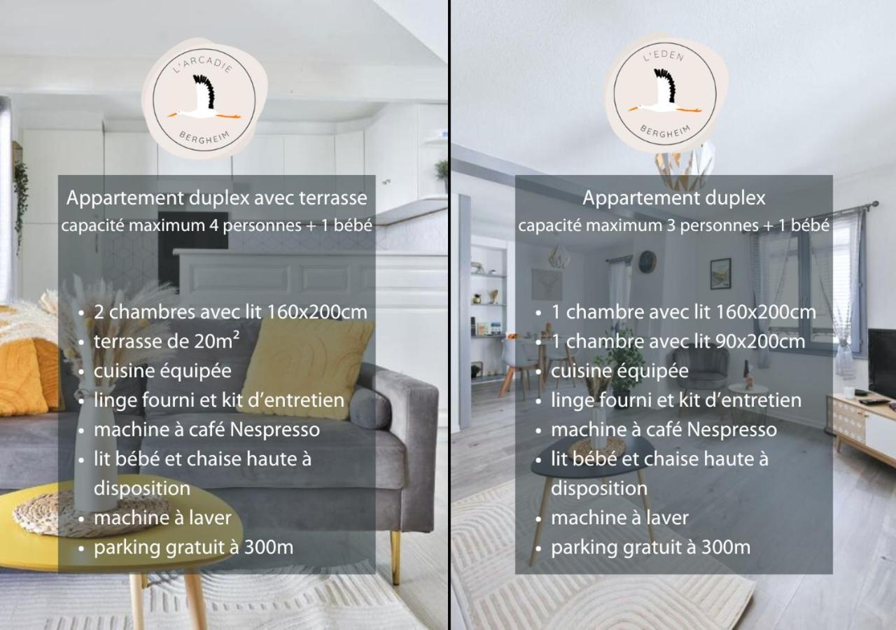 Appartements Duplex 3 Et 4 Personnes - Climatisation - Village Elu Parmi Les "Plus Beaux Villages De France" - Route Des Vins - Centre Alsace 贝尔盖姆 外观 照片